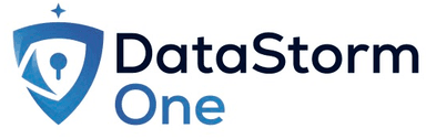 Datastorm Logo